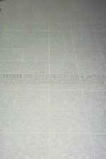 ceramic-porcelain-tile-floors-acid-washed-sealed11s